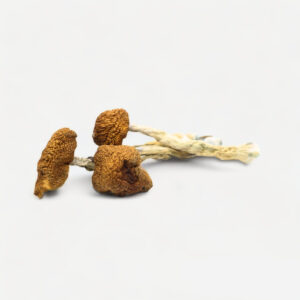 Buy Daddy Long Legs Magic Mushrooms Online