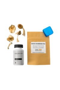 First Timer Magic Mushroom Kit - Psychedelic Today Top 5 Mushroom Grow Kits