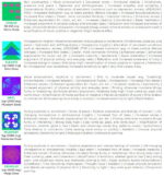 Shafaa Macrodosing Magic Mushroom Gummies Edibles