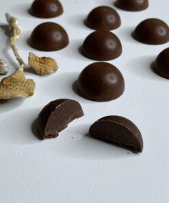 Shafaa Macrodosing Magic Mushroom Dark Chocolate Edibles