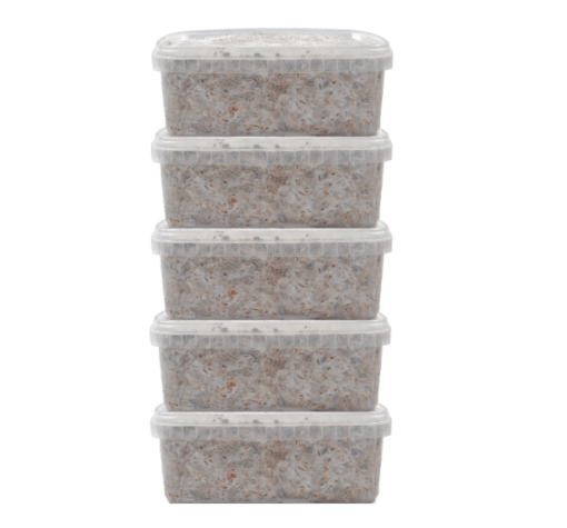 5 Magic Mushroom grow kit Discount Pack - MycoMate®