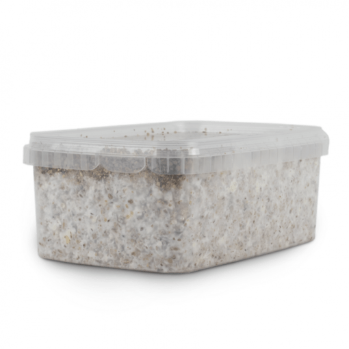 Magic Mushroom Grow Kit PES Amazon by Mondo®