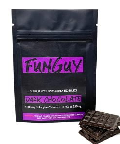 FunGuy Chocolate