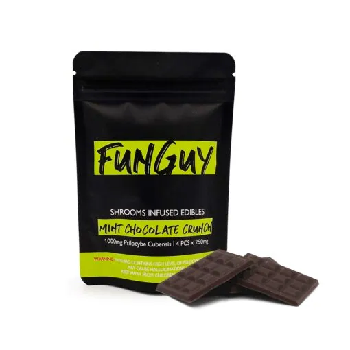 FunGuy Mint Chocolate Crunch Shroom Chocolates – 1000mg