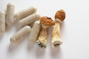 Buy Microdosing Mushroom Capsules in Florida 2025 - Psychedelic Today Buy Microdosing Mushroom Capsules