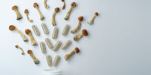 Golden Teacher Mushrooms