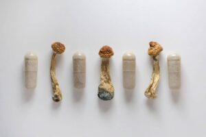 Buy Microdosing Mushroom Capsules in Florida 2025 - Psychedelic Today Buy Microdosing Mushroom Capsules
