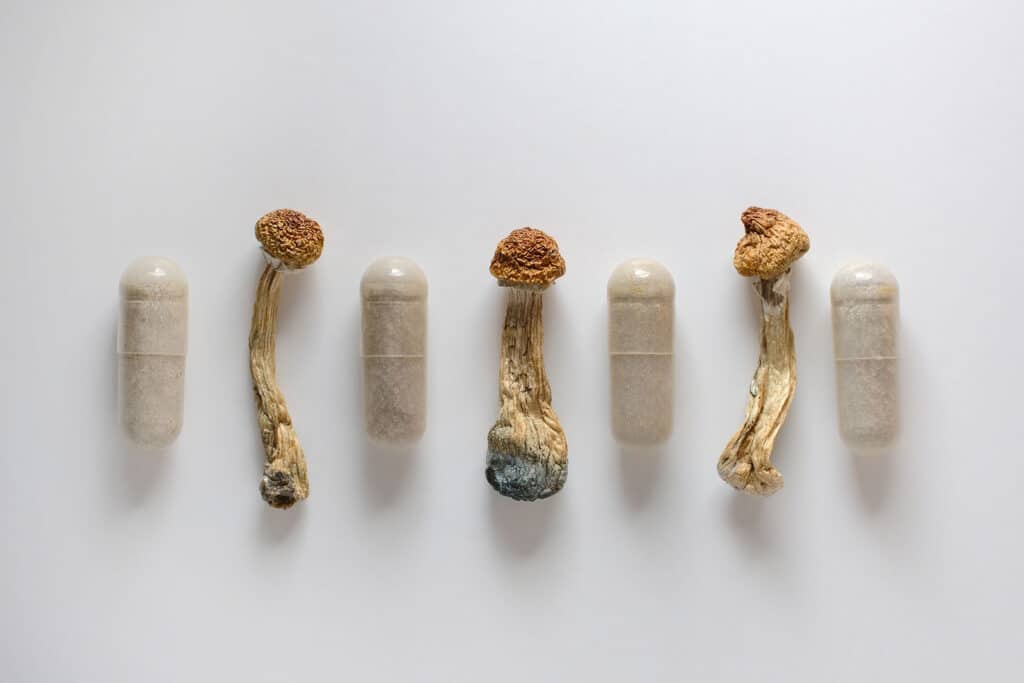 Buy Microdosing Mushroom Capsules