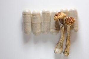 Buy Microdosing Mushroom Capsules in Florida 2025 - Psychedelic Today Buy Microdosing Mushroom Capsules