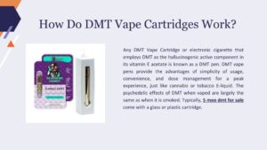 Where To Buy Deadhead Chemist DMT Cartridge (0.5ml) - Psychedelic Today Deadhead Chemist Dmt Cartridge (0.5Ml)