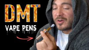 Where To Buy Deadhead Chemist DMT Cartridge (0.5ml) - Psychedelic Today Deadhead Chemist Dmt Cartridge (0.5Ml)