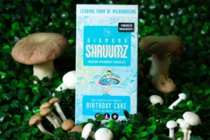 Microdosing Psilocybin Chocolate Bars 
