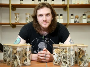 Magic Mushroom Strains