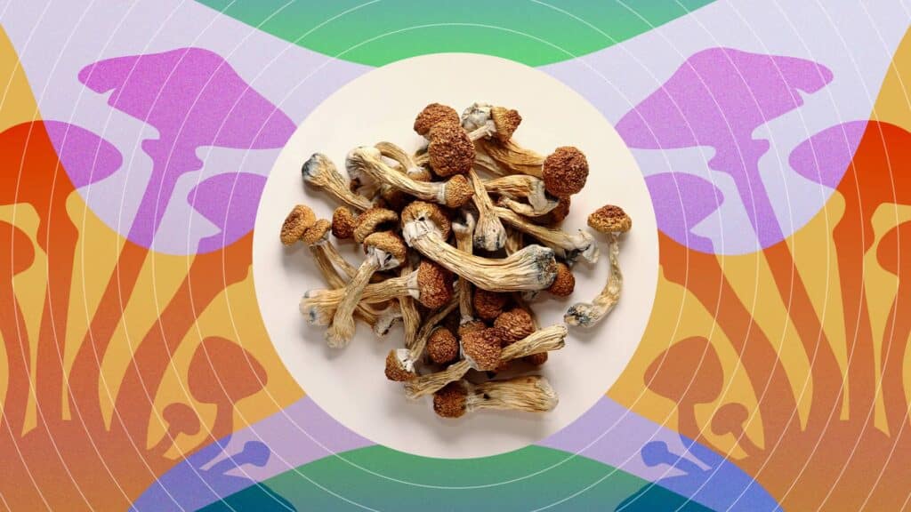 Buy Magic Mushrooms Online