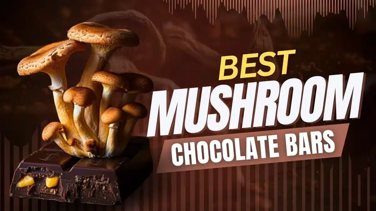 Buy Funguy Shroom Cookies &Amp; Cream Bar