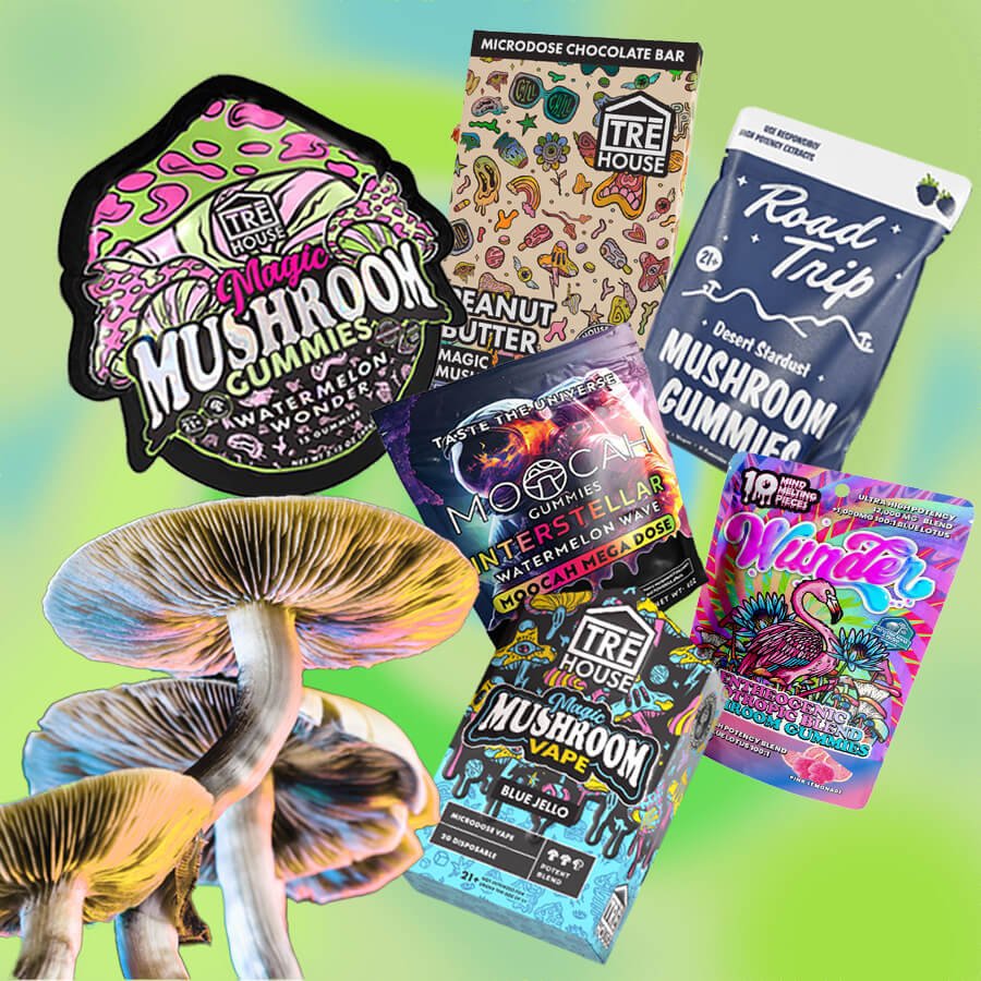 Best Psychedelic Mushroom Edibles for Beginners | Safe & Effective Choices