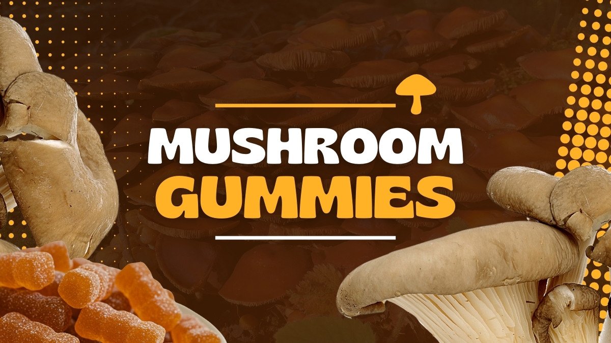 Best Magic Mushroom Gummies And Trusted Vendors In 2025: Complete Guide