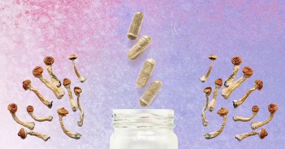 Microdosing Magic Mushrooms